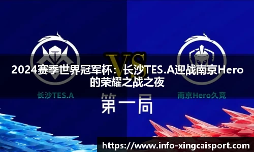 2024赛季世界冠军杯：长沙TES.A迎战南京Hero的荣耀之战之夜