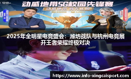 2025年全明星电竞盛会：潍坊战队与杭州电竞展开王者荣耀终极对决