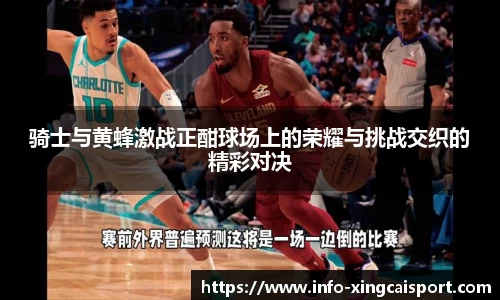 骑士与黄蜂激战正酣球场上的荣耀与挑战交织的精彩对决
